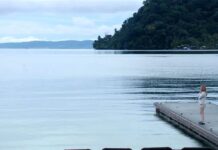 Planeta Azul regresa a Teletica con documental sobre ballenas jorobadas en Costa Rica