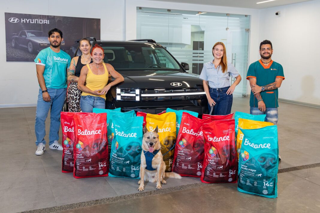 Zaguatón recolectó más de 7 toneladas de alimento para perros