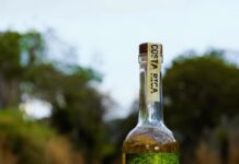 Selva Viva nace para transformar los sabores de Costa Rica en una nueva generación de licores premium