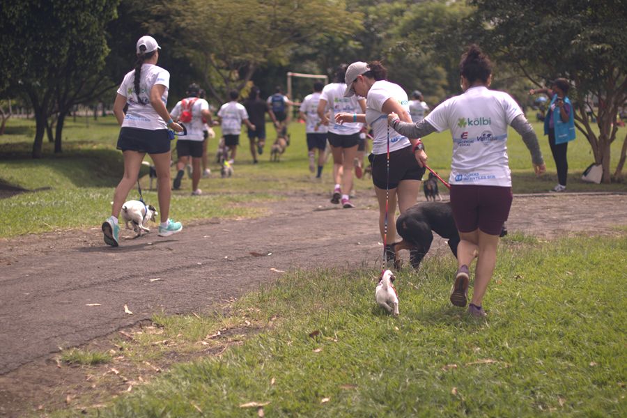 Carrera Pasos de Ayuda combinará deporte, convivencia familiar y apoyo a la niñez y adolescencia el próximo 19 de septiembre