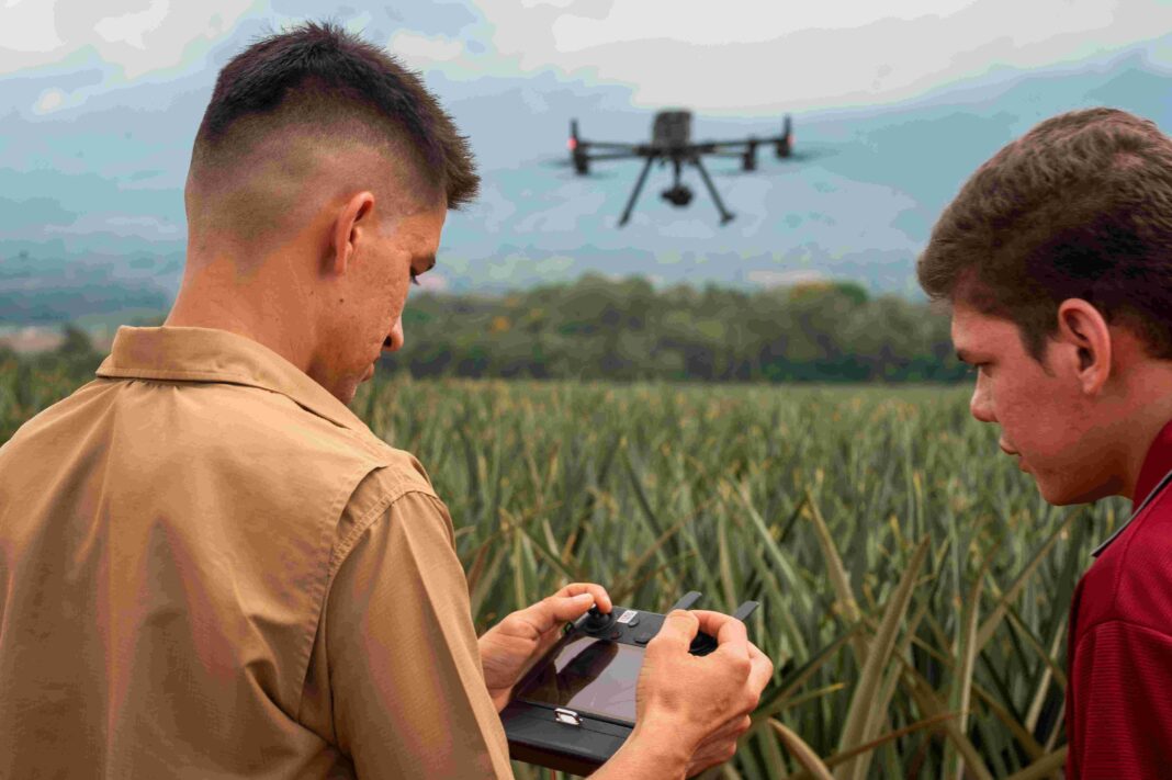 Conozca cómo la tecnología está transformando la agricultura