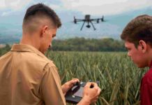 Conozca cómo la tecnología está transformando la agricultura