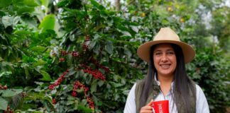 Nestlé, a través de Plan Nescafé, impulsa una caficultura más resiliente con impacto a más de 100 mil familias productoras