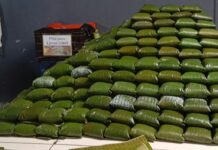 Expo Tamal 2026 estrena sede y amplía su oferta para recibir a 20.000 visitantes en Aserrí